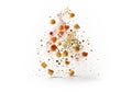 Spices exploding in midair Royalty Free Stock Photo