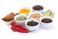 Spices and flavorings Royalty Free Stock Photo