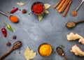 Spices on grunge grey background Royalty Free Stock Photo