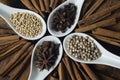 Spices and hebs ingredients, such as coriander, star anise, clove, cinnamon and pepper Royalty Free Stock Photo