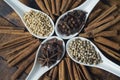 Spices and hebs ingredients, such as coriander, star anise, clove, cinnamon and pepper Royalty Free Stock Photo