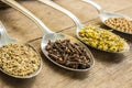 Spices and herbal tea ingredients on spoons