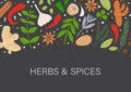 Spices and herbs banner. Flat hand drawn spicy cooking ingredients.