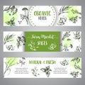 Spices and herbs banners set. Sketch with hand drawn plants. Herbal vector illustration Natural organic spice poster