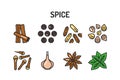 Spices and herbs color line icons set. Vector illustration Royalty Free Stock Photo