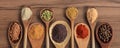 Spices and herbs. Colorful spices on wooden table, banner Royalty Free Stock Photo