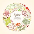 Spices and herbs icons in circle composition. Vector healthy lifestyle concept