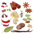 Spices and herbs icons set illustration