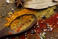 spices and herbs & Indian spices Royalty Free Stock Photo