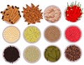 Spices and herbs ingredients seasoning flavoring set vector drawing