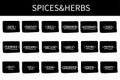 Spices and herbs jar labels and stickers. Kitchen storage organization. Vector illustration