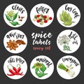 Spices and herbs labels. Colored vector spicy set Royalty Free Stock Photo