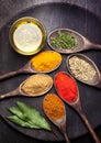 Spices, herbs and olive oil Royalty Free Stock Photo