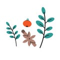 Spices herbs rosehip and cinnamon. Vector illustration