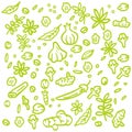 Spices Herbs Seamless Pattern Hand Drawn Vector Doodle