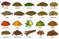 Spices and herbs sketch set. Vector line icons Royalty Free Stock Photo
