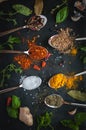 Spices and herbs in spoons dark background, top view