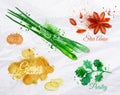 Spices herbs watercolor star anise, parsley,