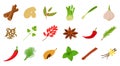 Spices icon set, cartoon style