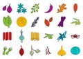 Spices icon set, color outline style