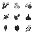 Spices icon set, simple style