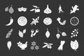 Spices icon set grey vector