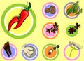 Spices icons