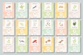 Spices labels. Different aromatic herbs and spices color packaging. Garlic, pepper and basil, spinach and mint organic Royalty Free Stock Photo