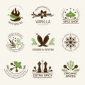 Spices labels. Herbs natural aroma kitchen healthy ingredients from leaves recent vector badges templates isolated Royalty Free Stock Photo