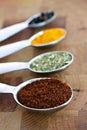 Spices in Measuring Spoons