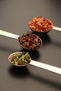 Spices in measuring spoons