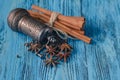 Spices mill with cinnamon and anise Royalty Free Stock Photo