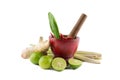 Spices with Mortar and Pestle isolated on white background Thai Spicy Foods Royalty Free Stock Photo