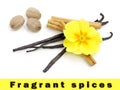 Spices with primrose flower