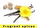 Spices with primrose flower Royalty Free Stock Photo