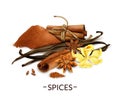 Realistic Spices Set