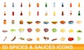 50 spices and sauces icons set, cartoon style