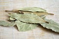 Bay Leaves Laurel Leaves on a light background