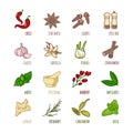 Spices and seasonings outline web icons set