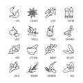 Spices and seasonings outline web icons