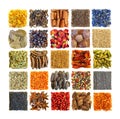Spices and seasonings in square composition Royalty Free Stock Photo