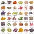 Spices set isolated on a white background Royalty Free Stock Photo