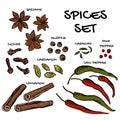Spices set for package or cookbook design in vector EPS8