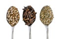 Spices on silver spoons Royalty Free Stock Photo