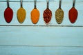 Spices in silver spoons, turmeric, paprika, cardamom, basil. On a wooden table. View from above. Royalty Free Stock Photo