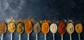 Spices in spoons background. Varieties of spices turmeric, pepper, chili, coriander, cinnamon and peppers for cooking. Culinary Royalty Free Stock Photo