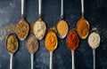 Spices in spoons background. Varieties of spices turmeric, pepper, chili, coriander, cinnamon and peppers for cooking. Culinary Royalty Free Stock Photo