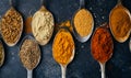 Spices in spoons background. Varieties of spices turmeric, pepper, chili, coriander, cinnamon and peppers for cooking. Culinary Royalty Free Stock Photo