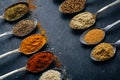 Spices in spoons background. Varieties of spices turmeric, pepper, chili, coriander, cinnamon and peppers for cooking. Culinary Royalty Free Stock Photo