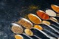 Spices in spoons background. Varieties of spices turmeric, pepper, chili, coriander, cinnamon and peppers for cooking. Culinary Royalty Free Stock Photo